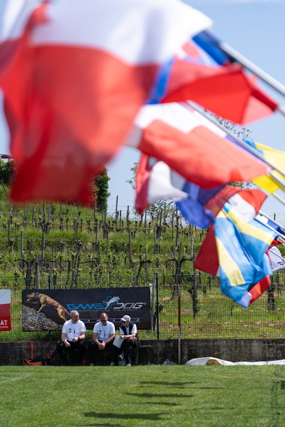 FCI SAR WC 2026_Foto-Miha Avgustin_46.jpg