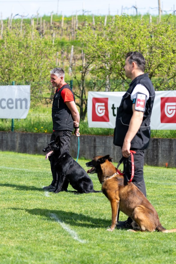 FCI SAR WC 2026_Foto-Miha Avgustin_63.jpg