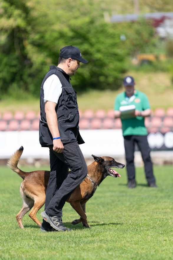 FCI SAR WC 2026_Foto-Miha Avgustin_58.jpg
