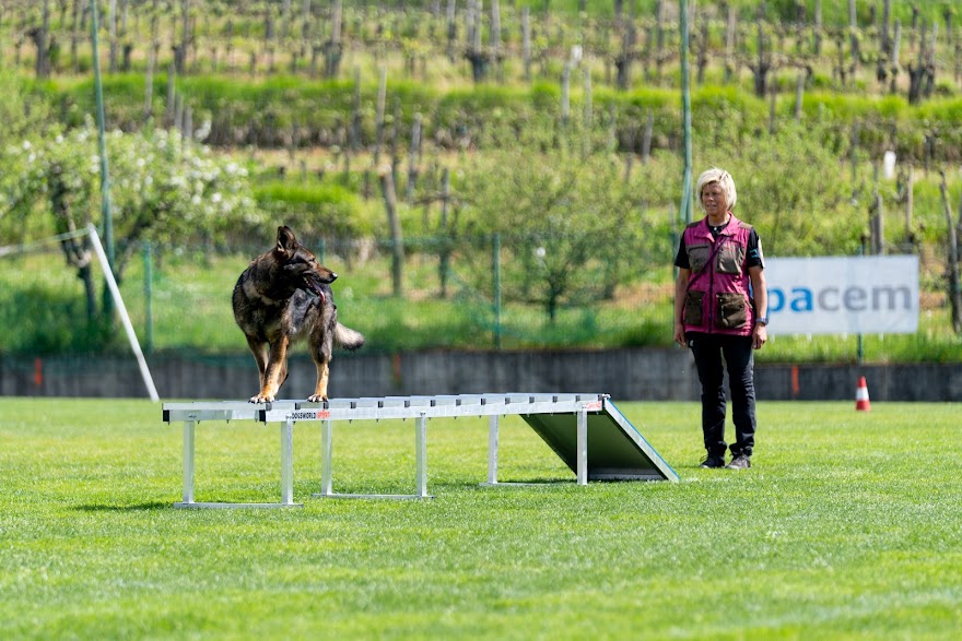 FCI SAR WC 2026_Foto-Miha Avgustin_51.jpg
