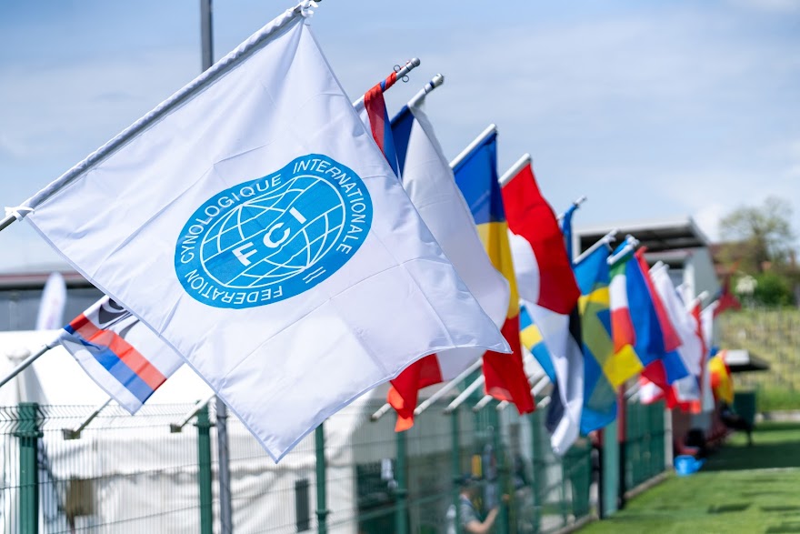 FCI SAR WC 2026_Foto-Miha Avgustin_44.jpg