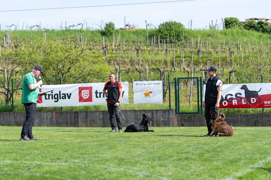 FCI SAR WC 2026_Foto-Miha Avgustin_64.jpg