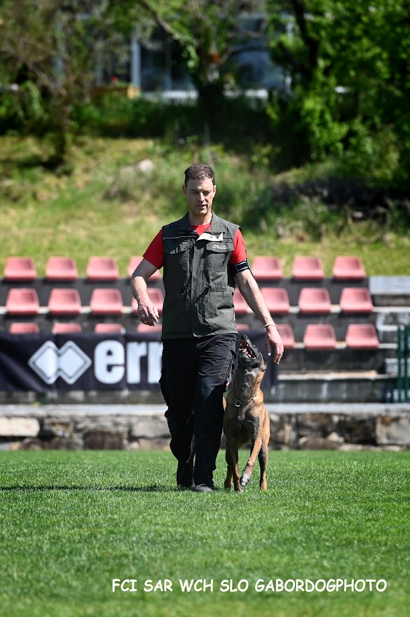 FCI SAR WC 2026_Foto-Gabor Szalanczi_50.JPG