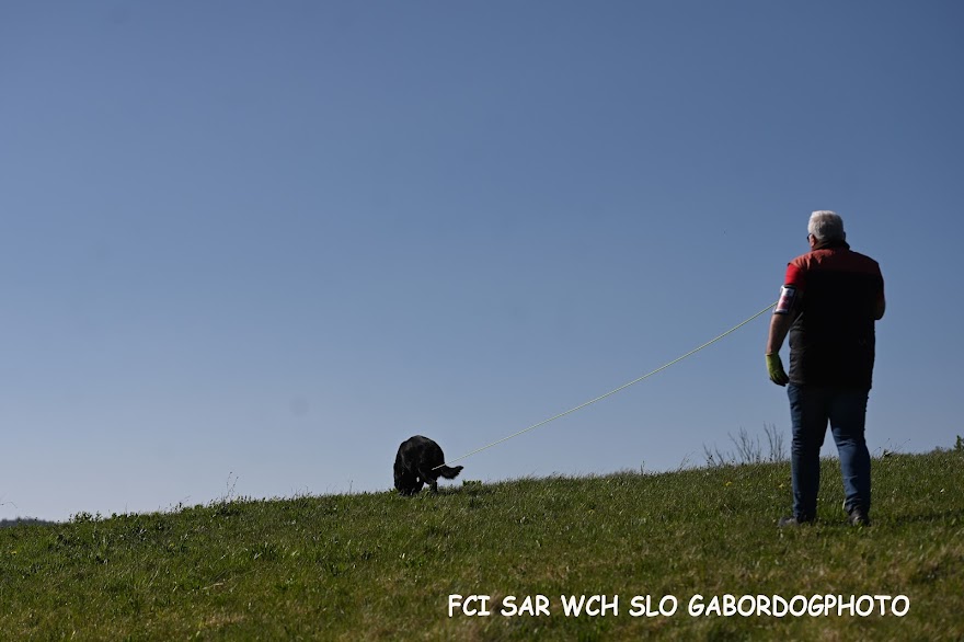 FCI SAR WC 2026_Foto-Gabor Szalanczi_45.JPG