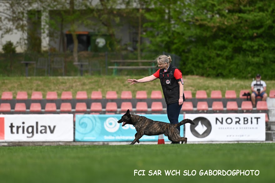 FCI SAR WC 2026_Foto-Gabor Szalanczi_36.JPG
