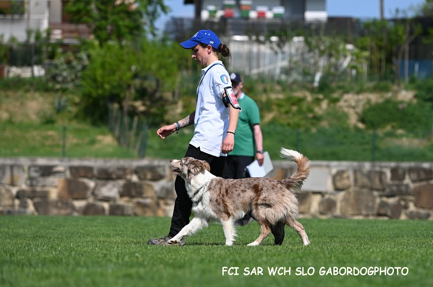 FCI SAR WC 2026_Foto-Gabor Szalanczi_68.JPG