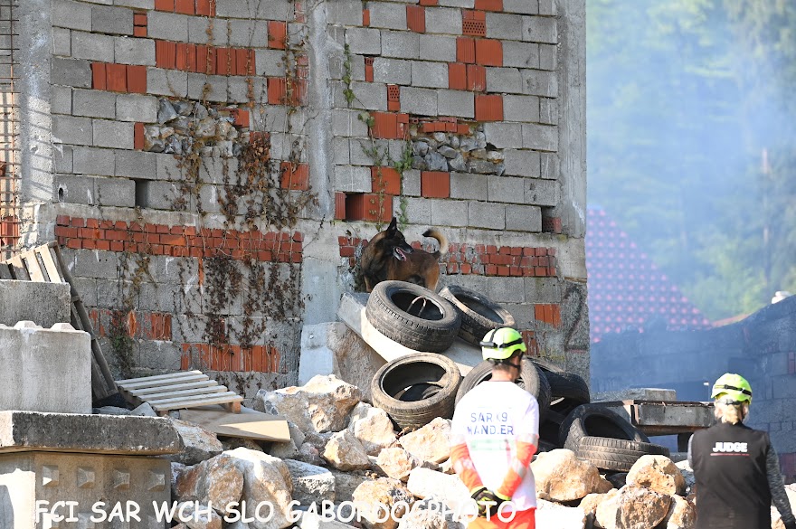 FCI SAR WC 2026_Foto-Gabor Szalanczi_86.JPG