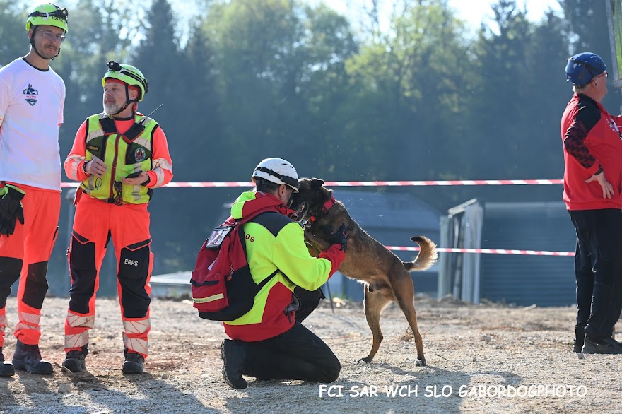 FCI SAR WC 2026_Foto-Gabor Szalanczi_87.JPG