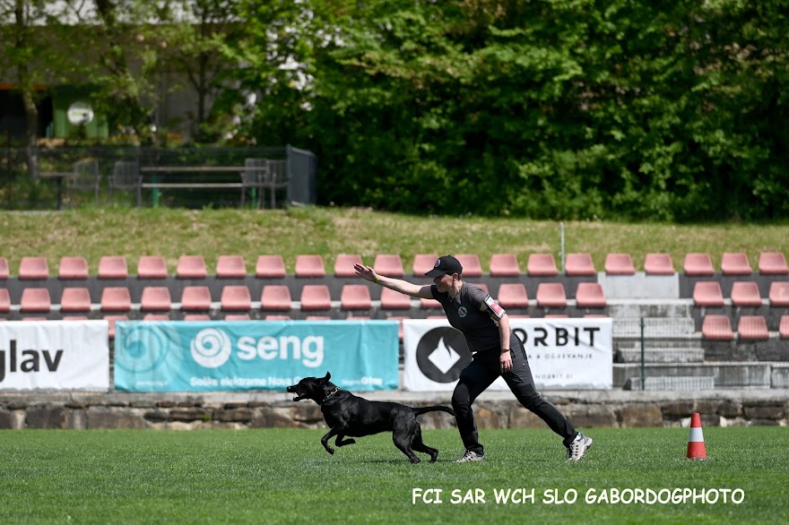 FCI SAR WC 2026_Foto-Gabor Szalanczi_58.JPG