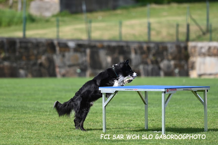 FCI SAR WC 2026_Foto-Gabor Szalanczi_31.JPG