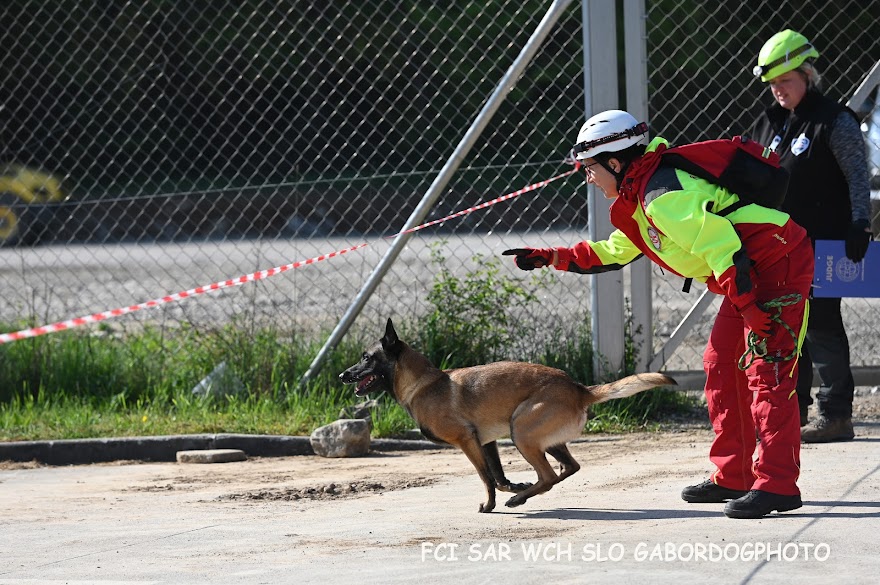 FCI SAR WC 2026_Foto-Gabor Szalanczi_91.JPG
