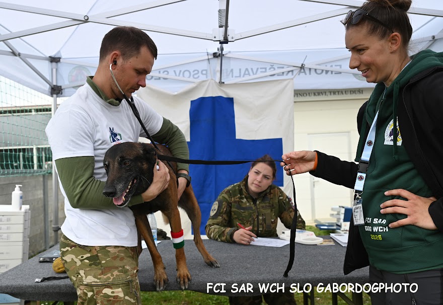 FCI SAR WC 2026_Foto-Gabor Szalanczi_1.JPG