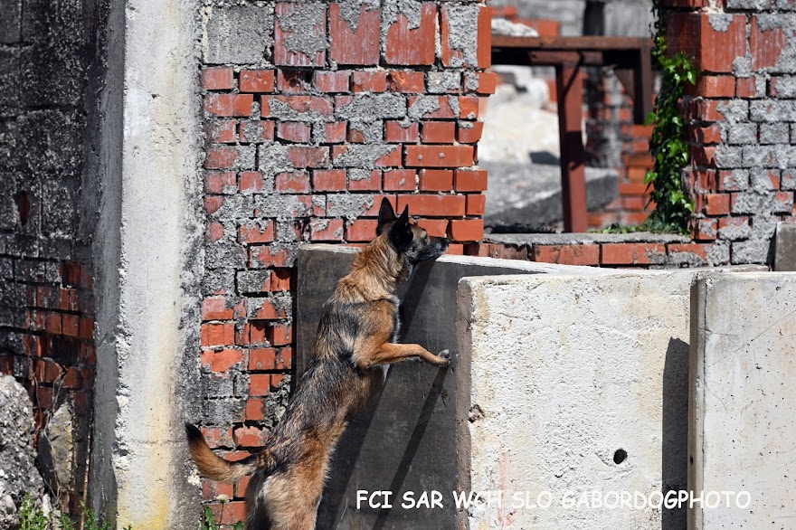 FCI SAR WC 2026_Foto-Gabor Szalanczi_100.JPG