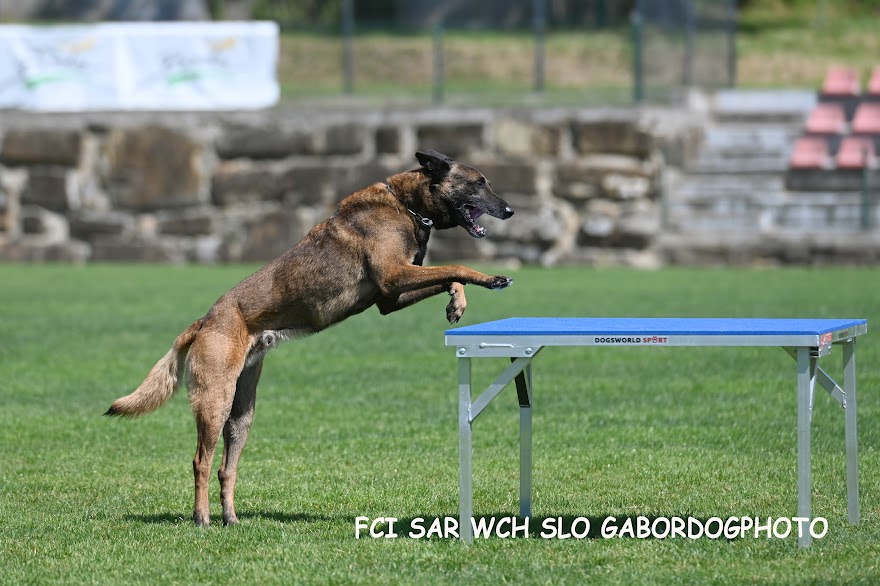 FCI SAR WC 2026_Foto-Gabor Szalanczi_56.JPG