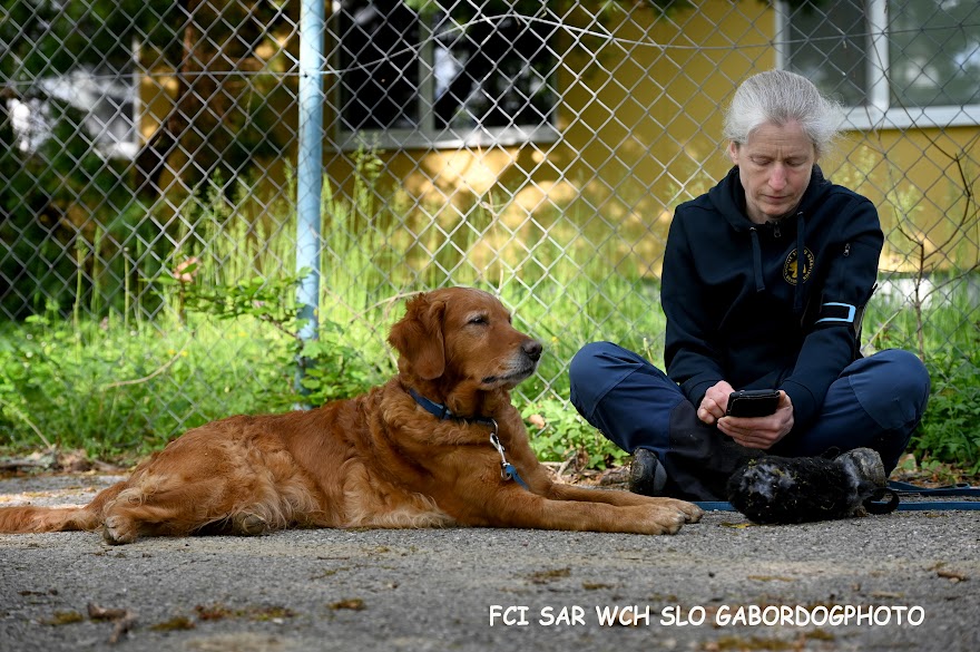 FCI SAR WC 2026_Foto-Gabor Szalanczi_19.JPG