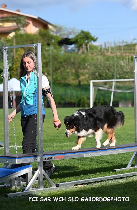 FCI SAR WC 2026_Foto-Gabor Szalanczi_81.JPG