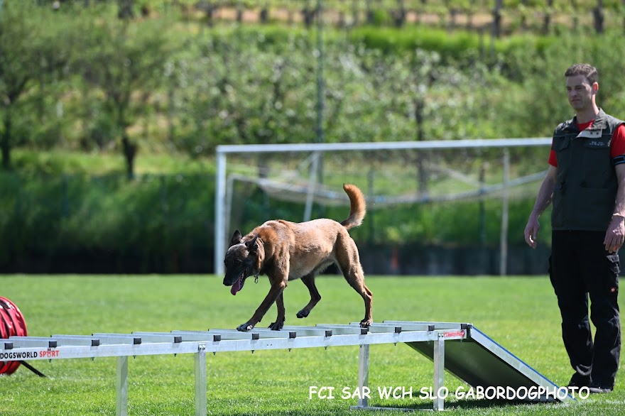 FCI SAR WC 2026_Foto-Gabor Szalanczi_51.JPG
