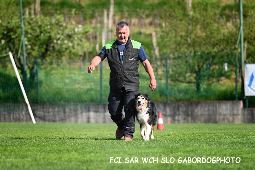 FCI SAR WC 2026_Foto-Gabor Szalanczi_78.JPG