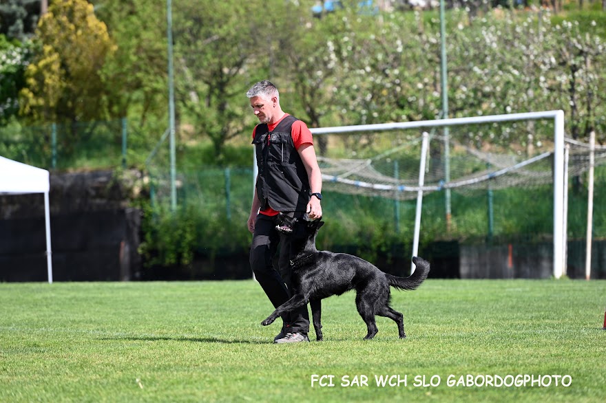 FCI SAR WC 2026_Foto-Gabor Szalanczi_27.JPG