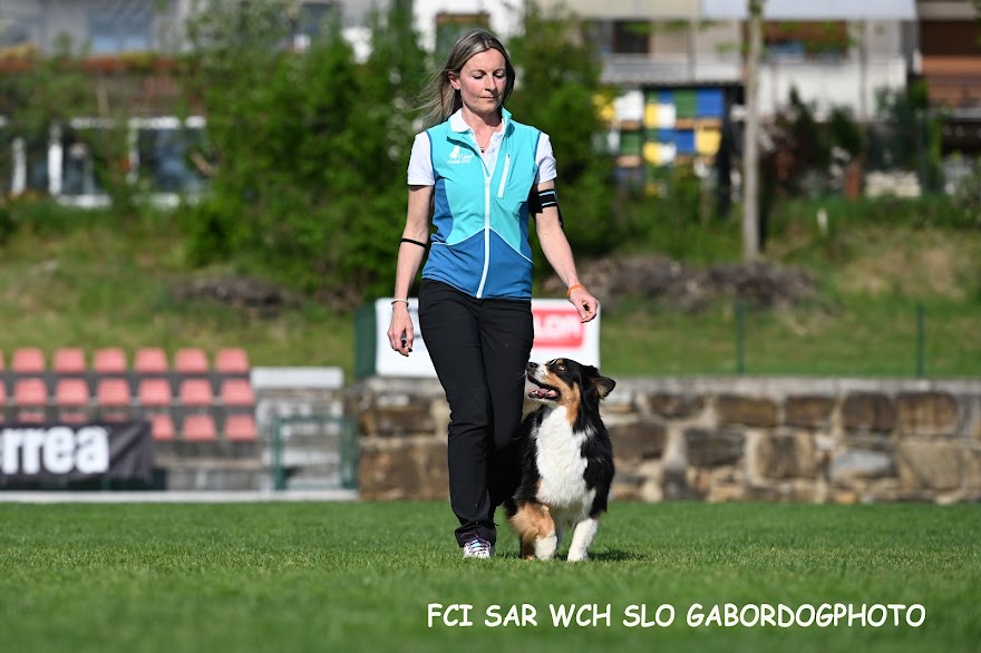 FCI SAR WC 2026_Foto-Gabor Szalanczi_80.JPG