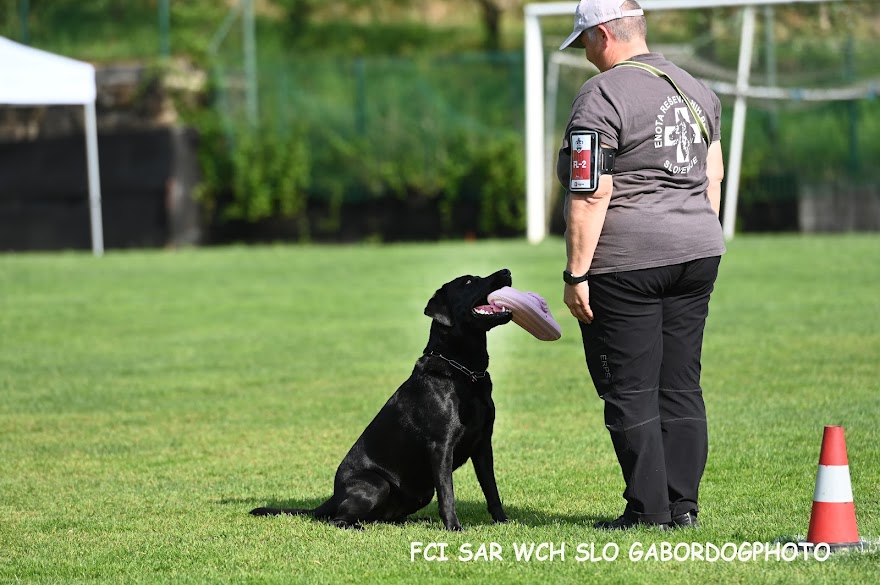 FCI SAR WC 2026_Foto-Gabor Szalanczi_74.JPG