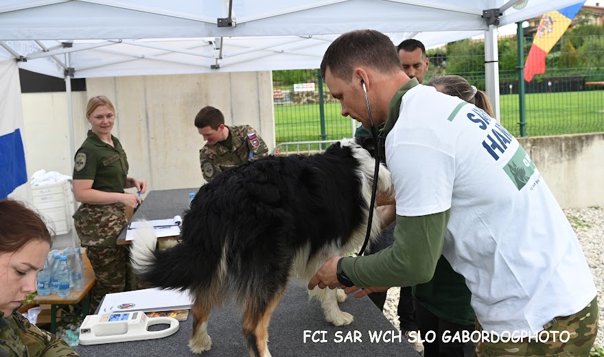 FCI SAR WC 2026_Foto-Gabor Szalanczi_2.JPG