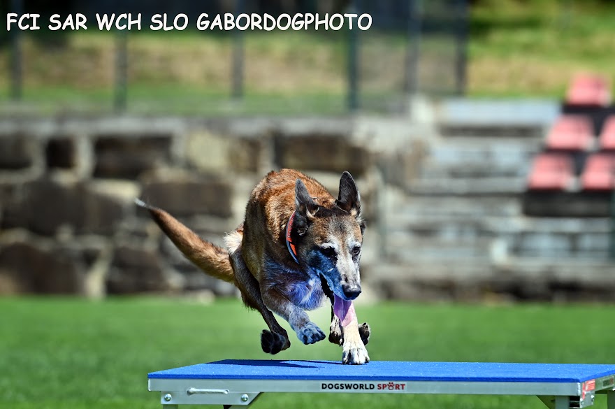 FCI SAR WC 2026_Foto-Gabor Szalanczi_53.JPG