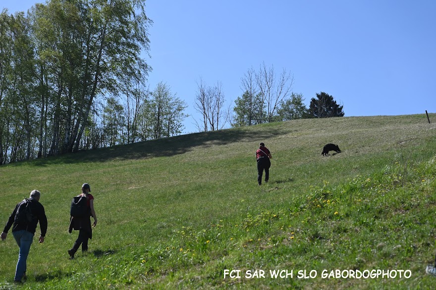 FCI SAR WC 2026_Foto-Gabor Szalanczi_49.JPG