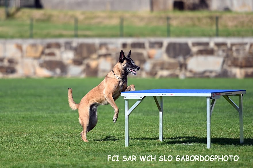 FCI SAR WC 2026_Foto-Gabor Szalanczi_76.JPG