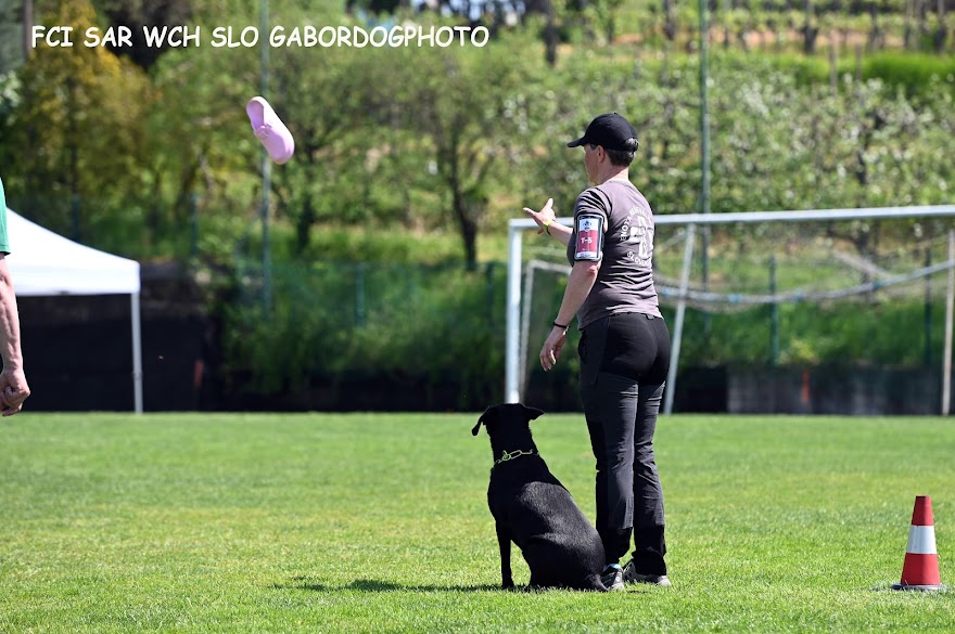 FCI SAR WC 2026_Foto-Gabor Szalanczi_57.JPG