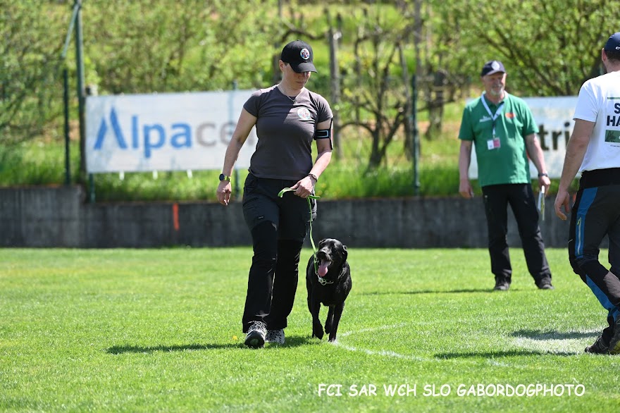 FCI SAR WC 2026_Foto-Gabor Szalanczi_54.JPG