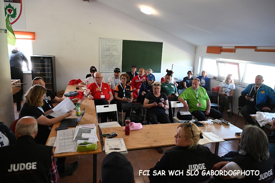 FCI SAR WC 2026_Foto-Gabor Szalanczi_7.JPG