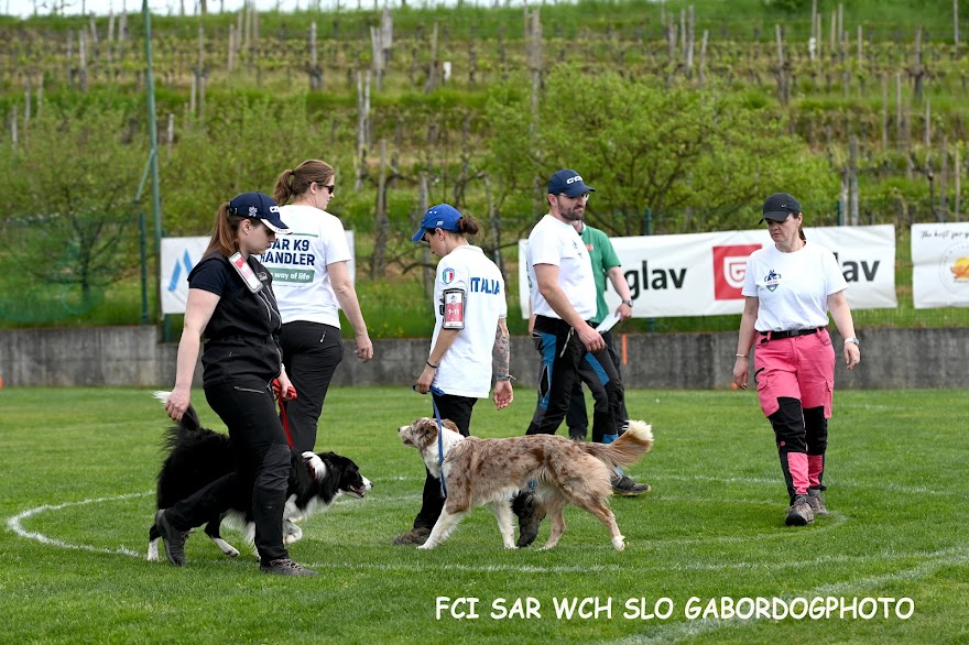 FCI SAR WC 2026_Foto-Gabor Szalanczi_65.JPG