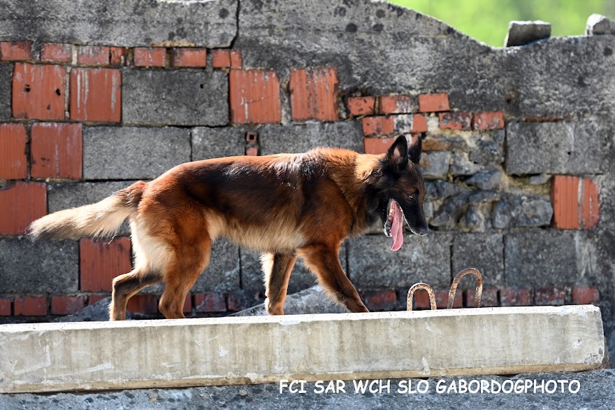 FCI SAR WC 2026_Foto-Gabor Szalanczi_99.JPG