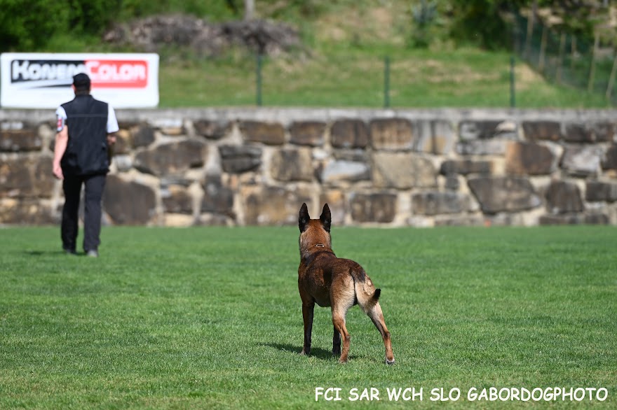FCI SAR WC 2026_Foto-Gabor Szalanczi_29.JPG