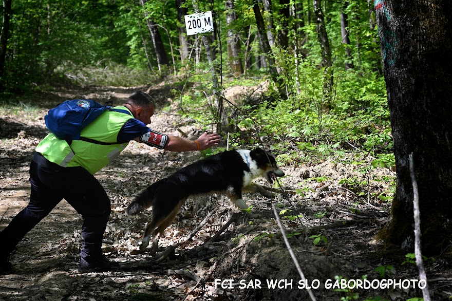 FCI SAR WC 2026_Foto-Gabor Szalanczi_25.JPG