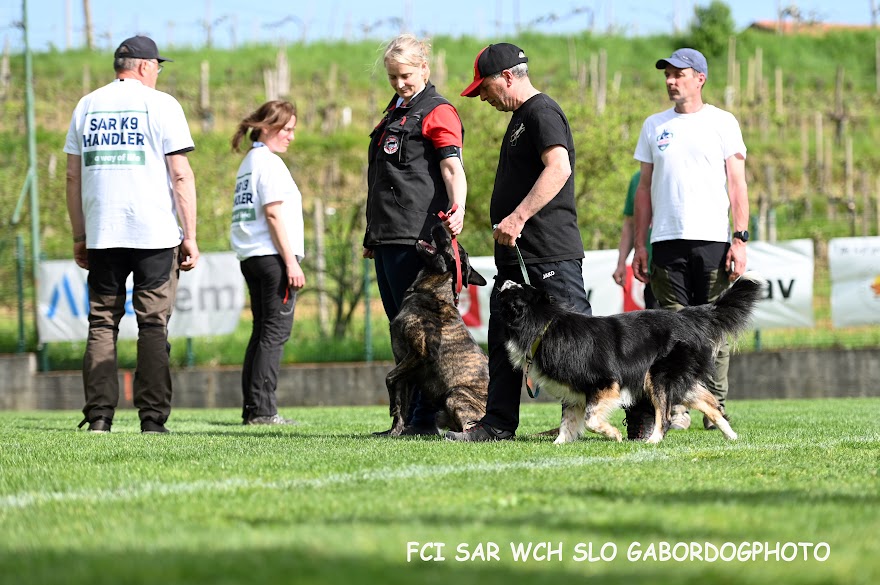 FCI SAR WC 2026_Foto-Gabor Szalanczi_35.JPG