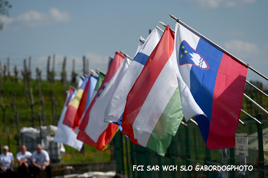 FCI SAR WC 2026_Foto-Gabor Szalanczi_73.JPG