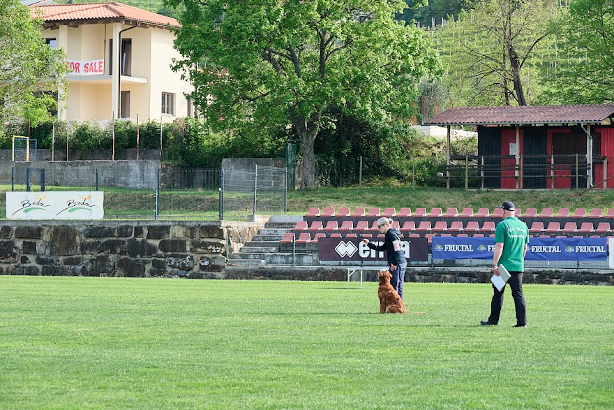 FCI SAR WC 2026_Foto-Andrej Gustincic_290.jpg