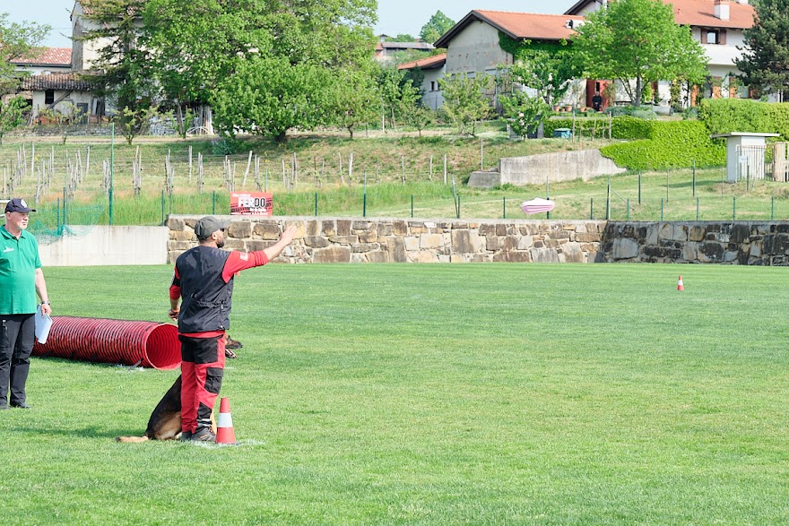 FCI SAR WC 2026_Foto-Andrej Gustincic_369.jpg