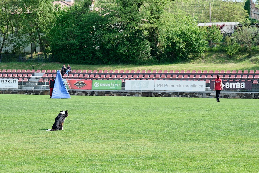 FCI SAR WC 2026_Foto-Andrej Gustincic_354.jpg