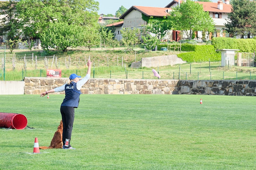 FCI SAR WC 2026_Foto-Andrej Gustincic_333.jpg