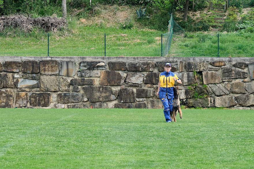 FCI SAR WC 2026_Foto-Andrej Gustincic_505.jpg