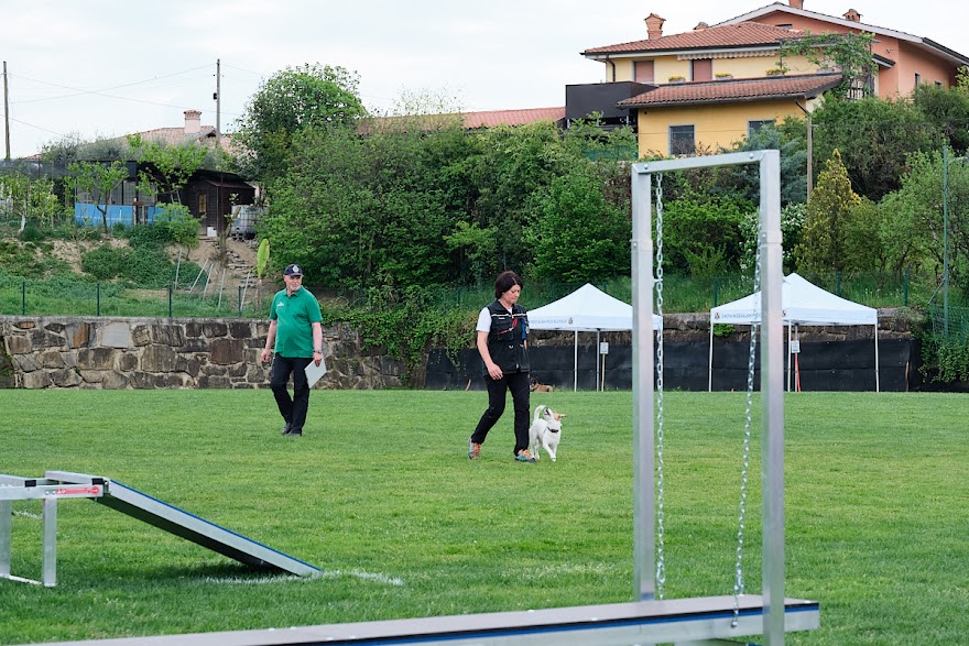 FCI SAR WC 2026_Foto-Andrej Gustincic_550.jpg