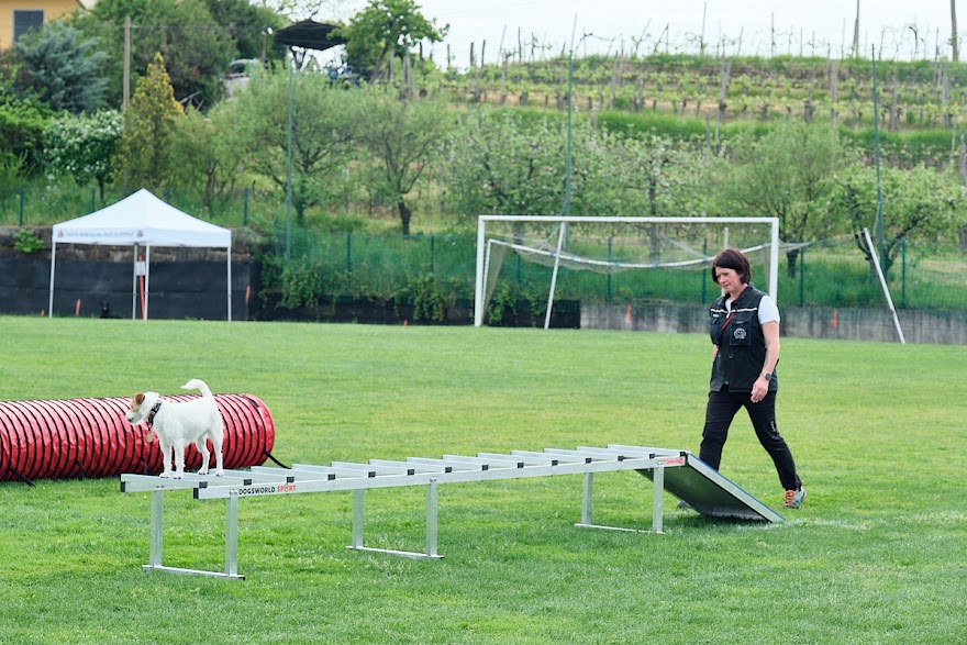 FCI SAR WC 2026_Foto-Andrej Gustincic_437.jpg