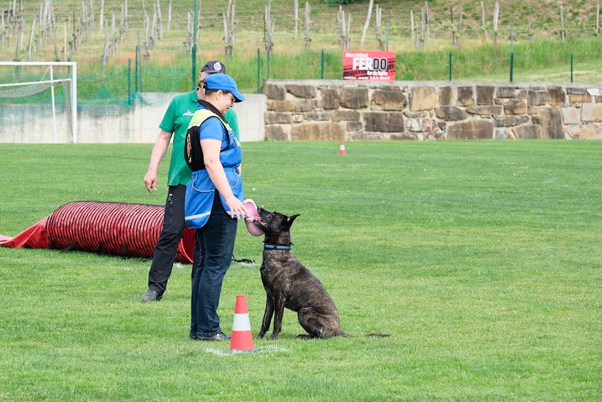 FCI SAR WC 2026_Foto-Andrej Gustincic_451.jpg