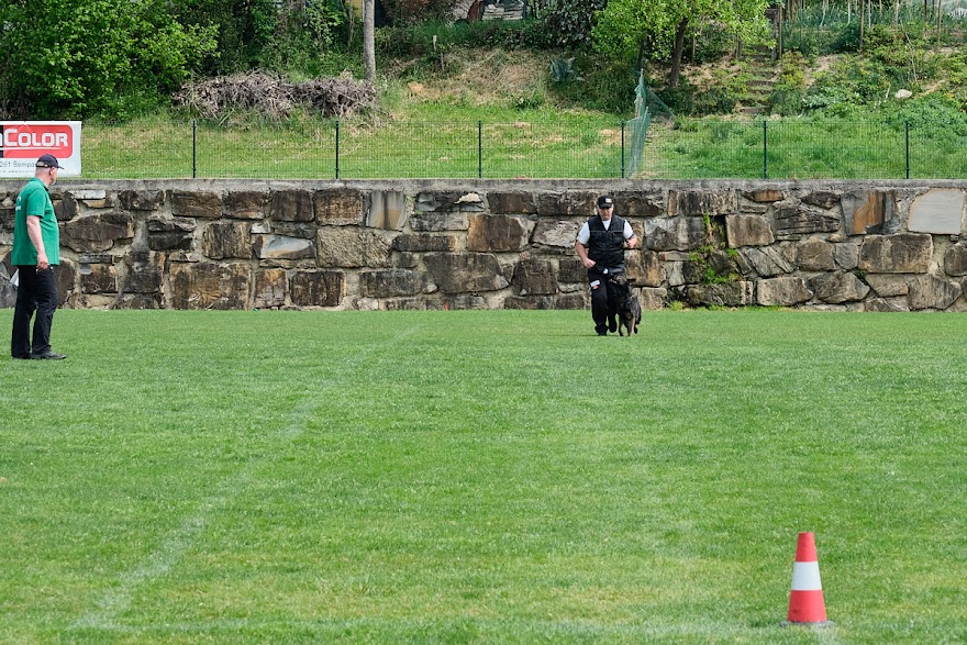 FCI SAR WC 2026_Foto-Andrej Gustincic_486.jpg