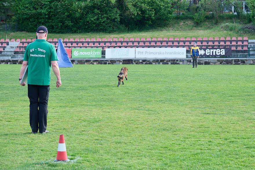 FCI SAR WC 2026_Foto-Andrej Gustincic_270.jpg