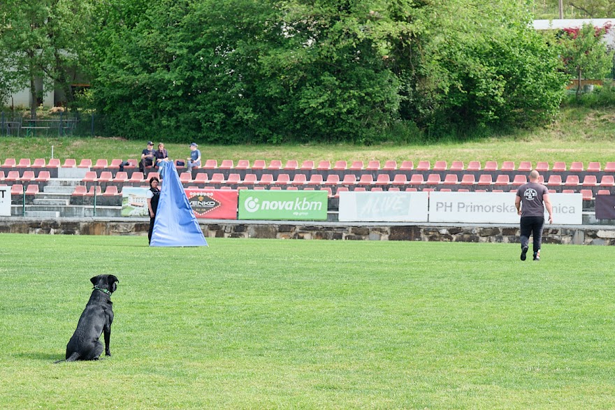 FCI SAR WC 2026_Foto-Andrej Gustincic_408.jpg