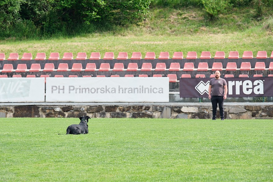 FCI SAR WC 2026_Foto-Andrej Gustincic_409.jpg